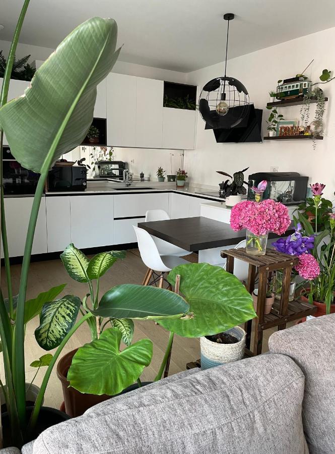 Mowgli House - Milano Luxury Apartment Private Room المظهر الخارجي الصورة